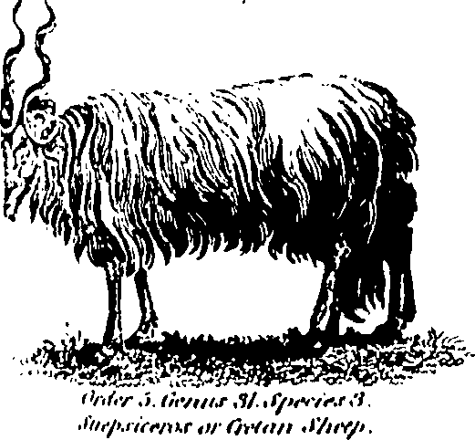 061/061930010205690_1.png