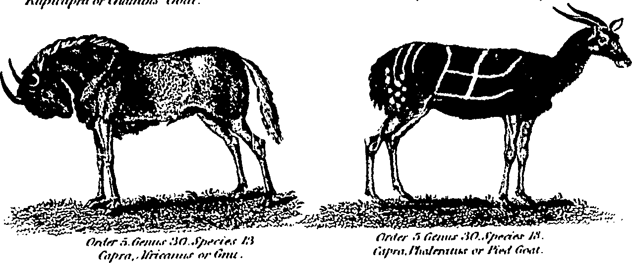 061/061930010205690_3.png