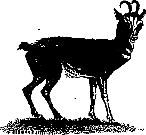 061/061930010205690_4.png