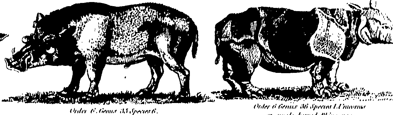 061/061930010205700_0.png
