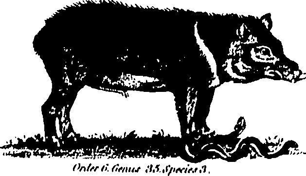 061/061930010205700_1.png