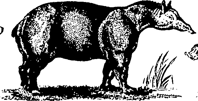 061/061930010205700_2.png