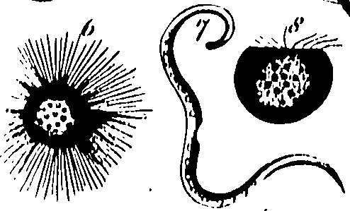 061/061930010206600_0.png