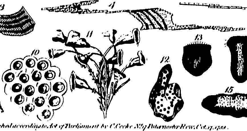 061/061930010206600_1.png