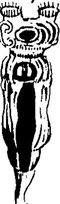 061/061930010206600_2.png