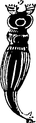 061/061930010206600_3.png