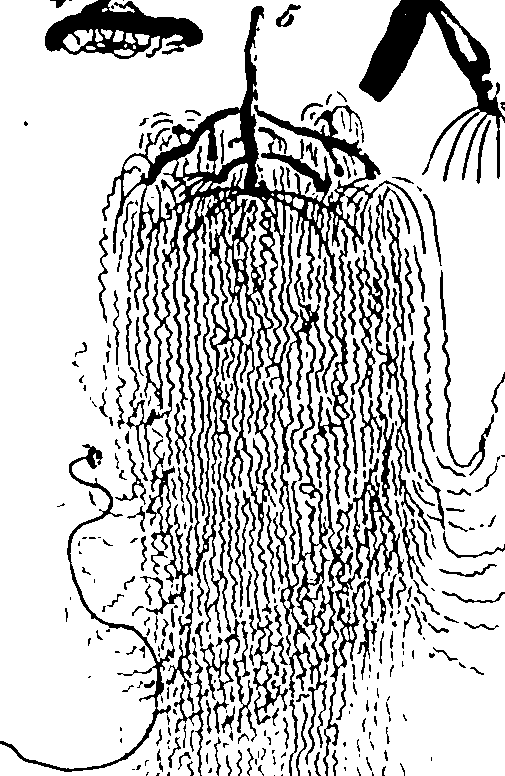 061/061930010206600_6.png