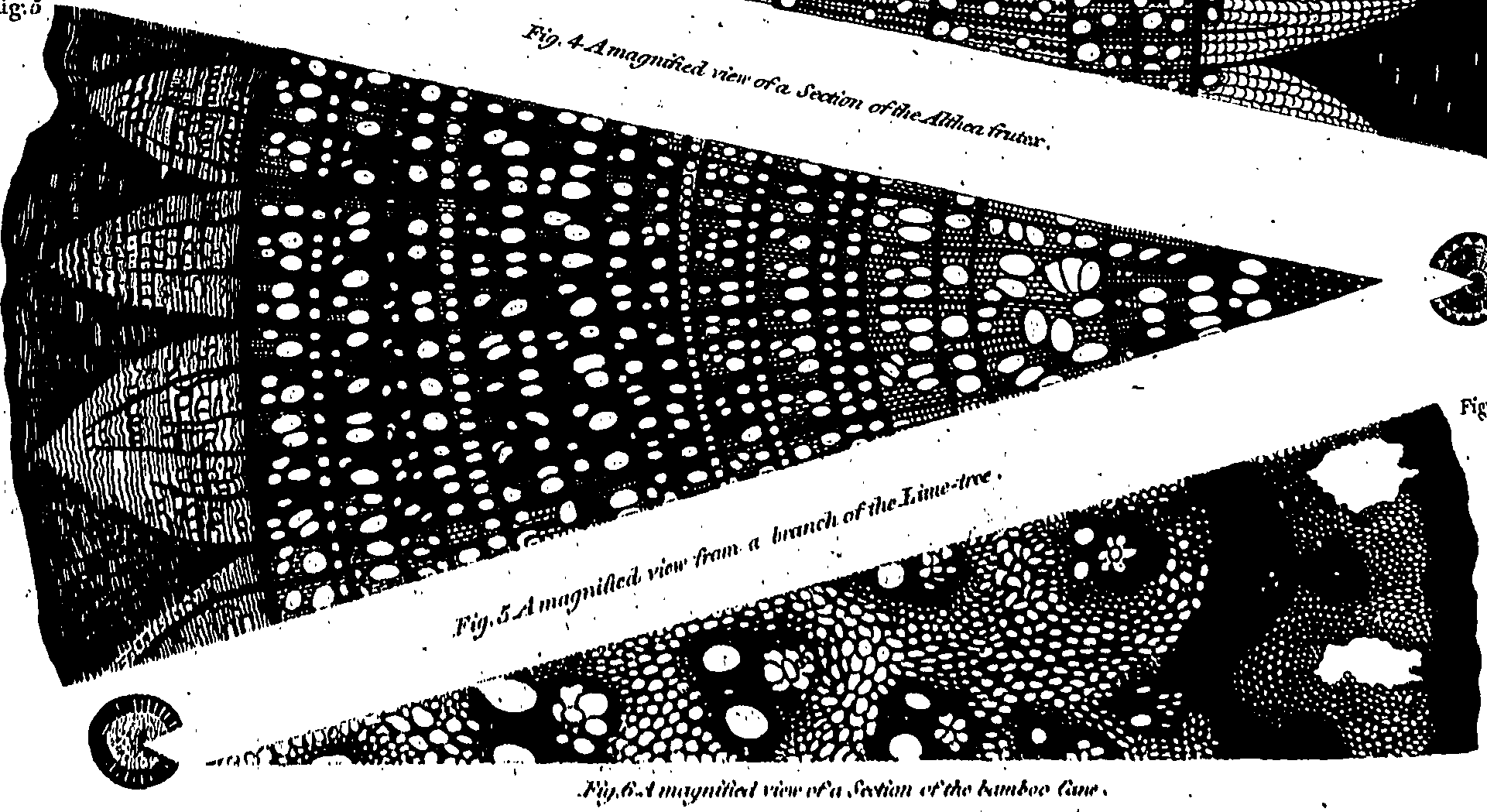 061/061930010206660_0.png