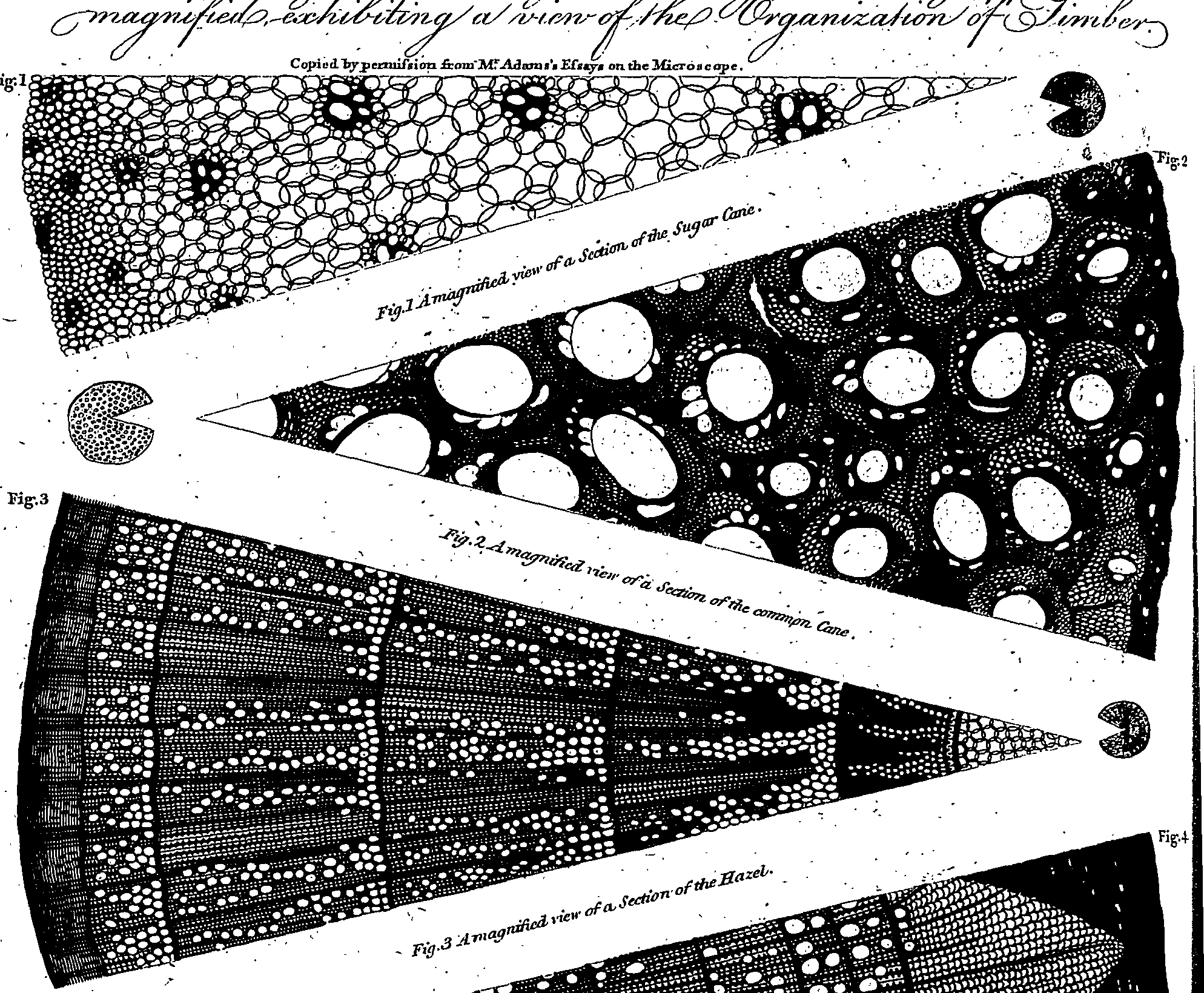 061/061930010206660_1.png