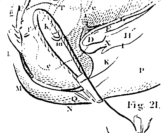 061/061930010207060_1.png