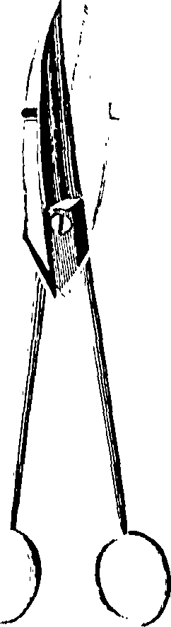 061/061930010207080_0.png