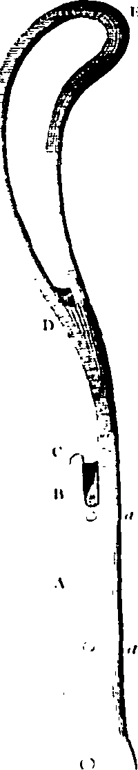 061/061930010207080_1.png