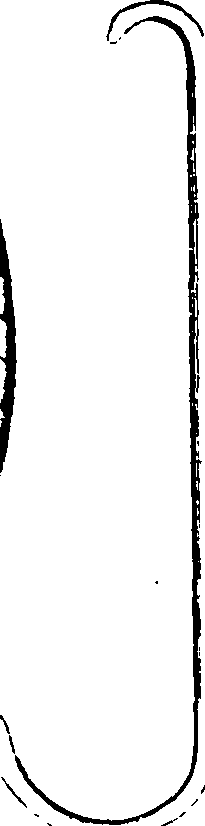 061/061930010207080_2.png