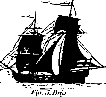 061/061930010300210_4.png