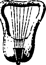 061/061930010300710_2.png