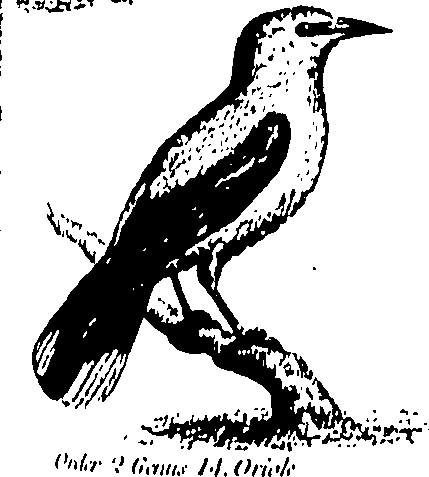061/061930010301200_0.png