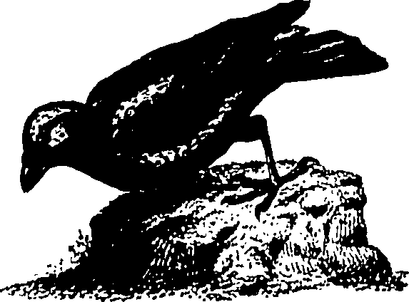 061/061930010301200_1.png