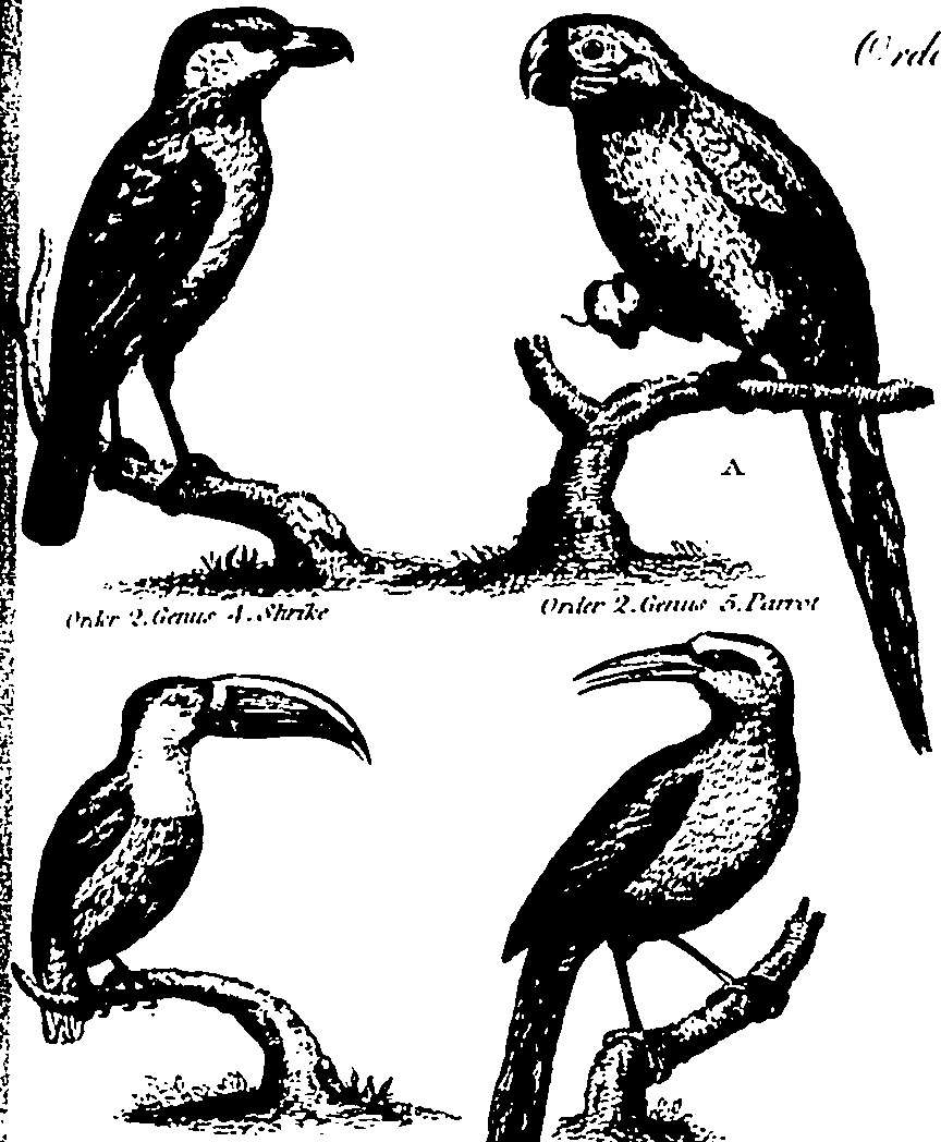 061/061930010301200_3.png