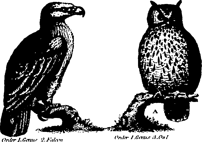 061/061930010301200_4.png