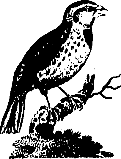 061/061930010301210_0.png