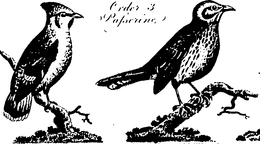 061/061930010301210_2.png