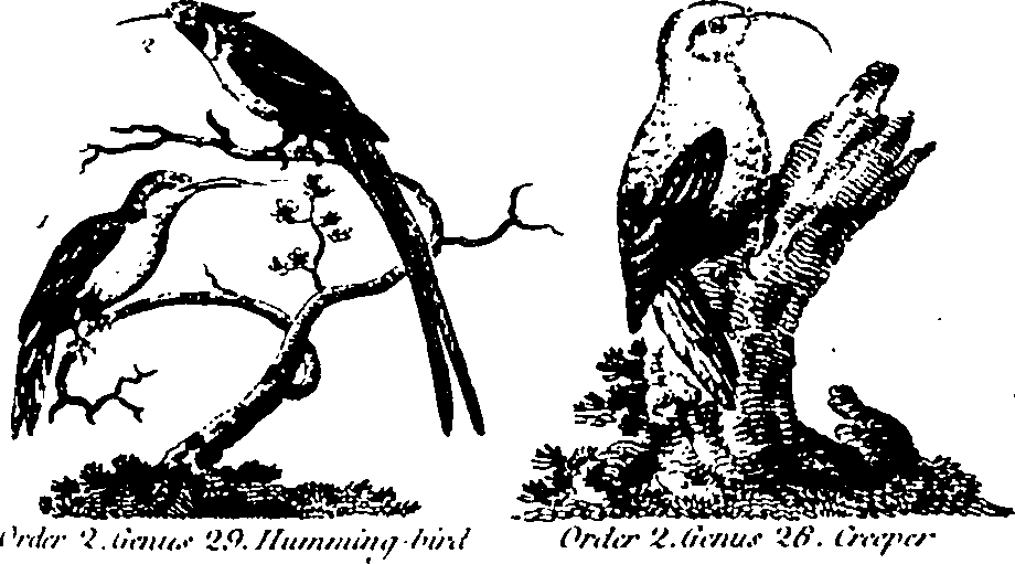 061/061930010301210_3.png