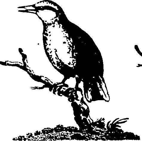 061/061930010301210_4.png