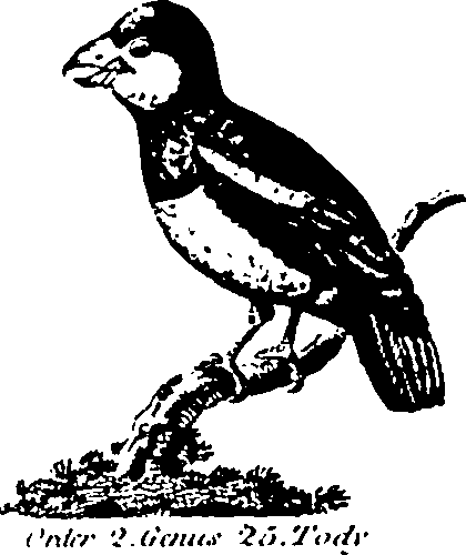 061/061930010301210_5.png