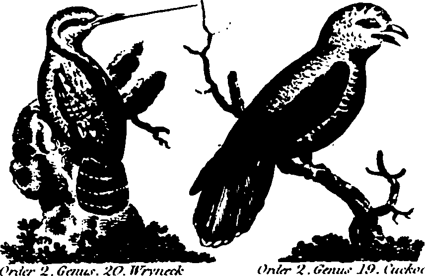 061/061930010301210_7.png