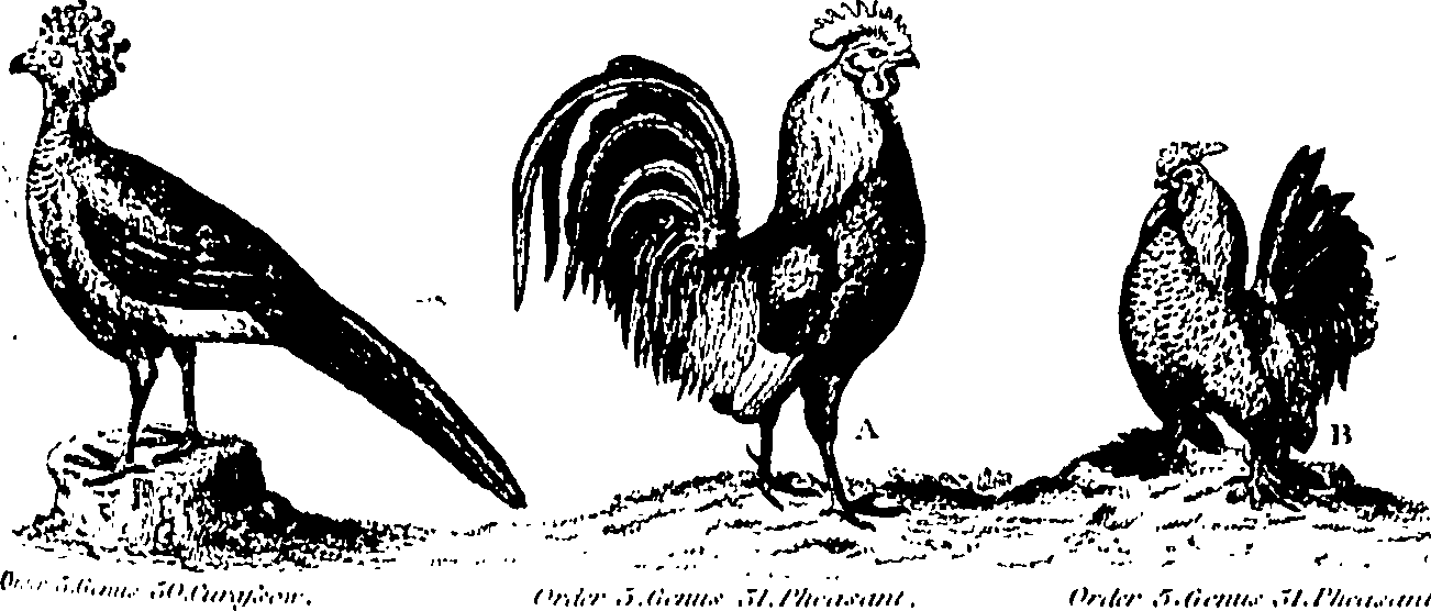 061/061930010301220_1.png
