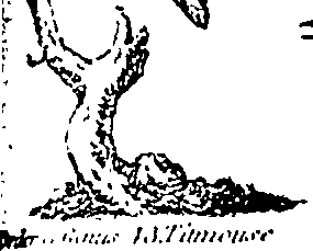 061/061930010301220_2.png