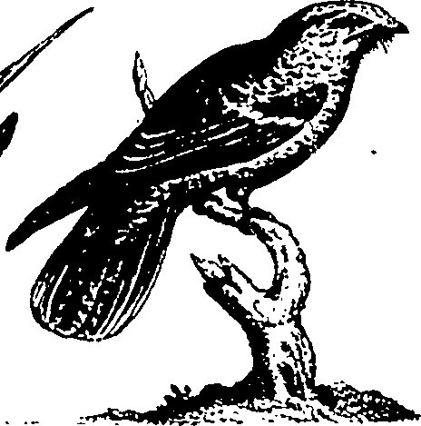 061/061930010301220_3.png