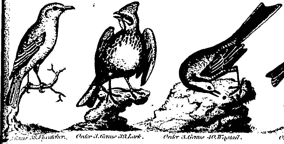 061/061930010301220_4.png