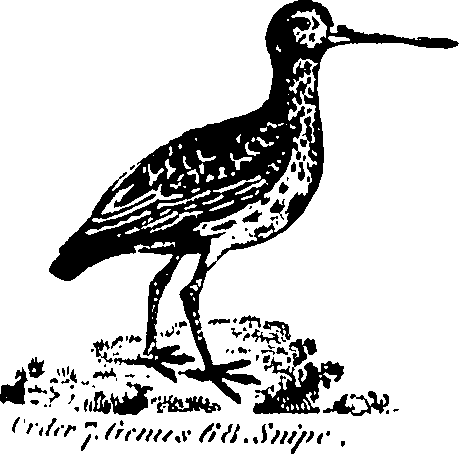061/061930010301230_1.png