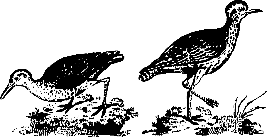 061/061930010301230_2.png