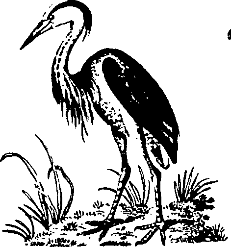 061/061930010301230_3.png