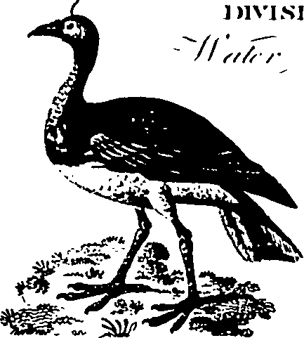 061/061930010301230_5.png