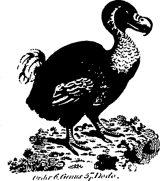 061/061930010301230_6.png
