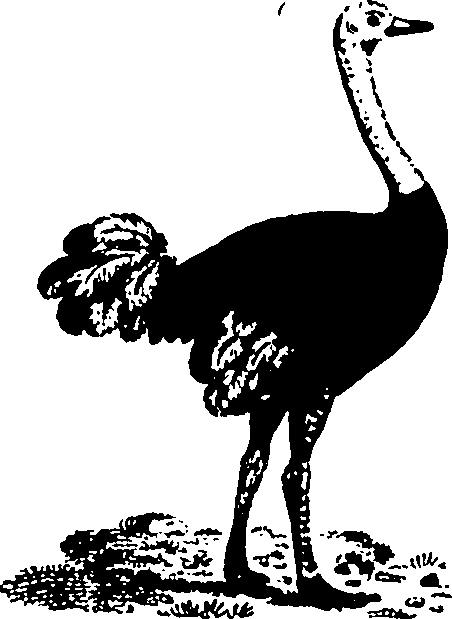 061/061930010301230_7.png