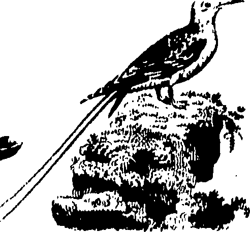 061/061930010301240_0.png