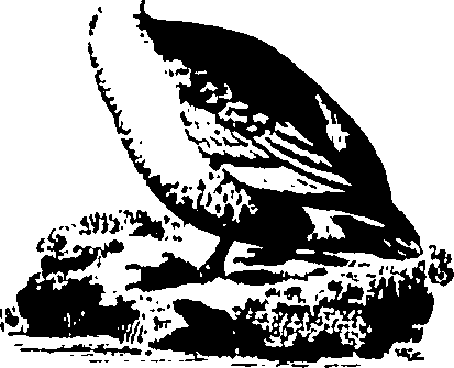 061/061930010301240_1.png