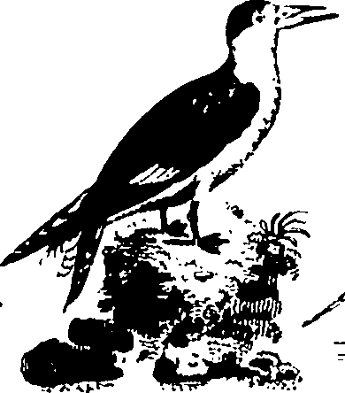061/061930010301240_2.png