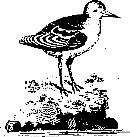 061/061930010301240_3.png