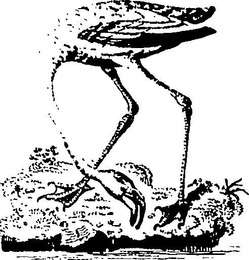 061/061930010301240_4.png