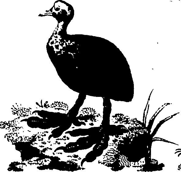 061/061930010301240_5.png