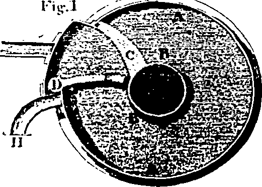 061/061930010303620_1.png