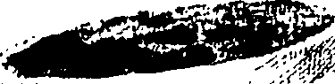 061/061930010303810_1.png