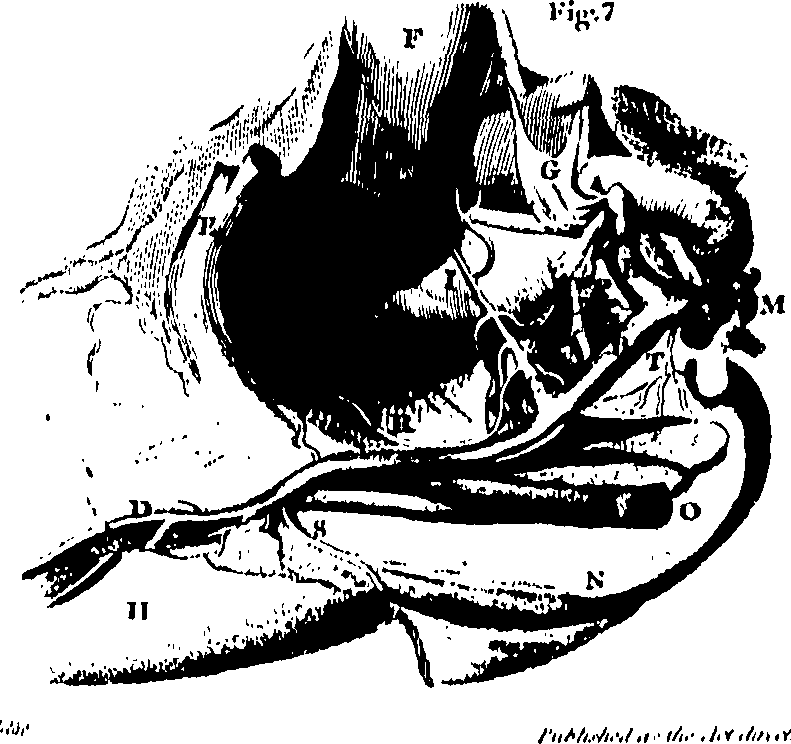 061/061930010303810_2.png