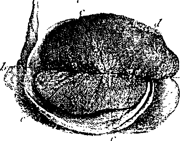 061/061940050104660_0.png