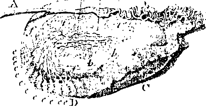 061/061940050104660_2.png